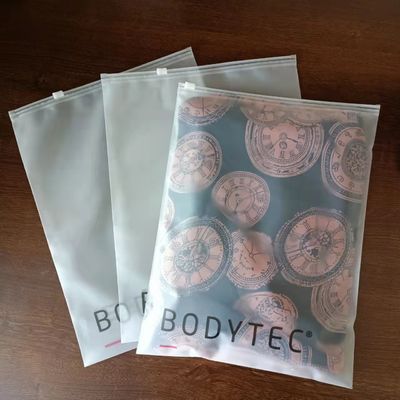 Προσαρμοσμένο λογότυπο PET/PE CPP Zip Lock Bag Packaging για παγωμένα καλλυντικά και μαγιό