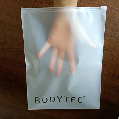 Προσαρμοσμένο λογότυπο PET/PE CPP Zip Lock Bag Packaging για παγωμένα καλλυντικά και μαγιό