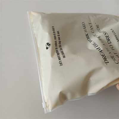 Προσαρμόστε οποιοδήποτε χρώμα υγρασία Proof Polybags για παπούτσια και ρούχα παγωμένο τσάντα φερμουάρ